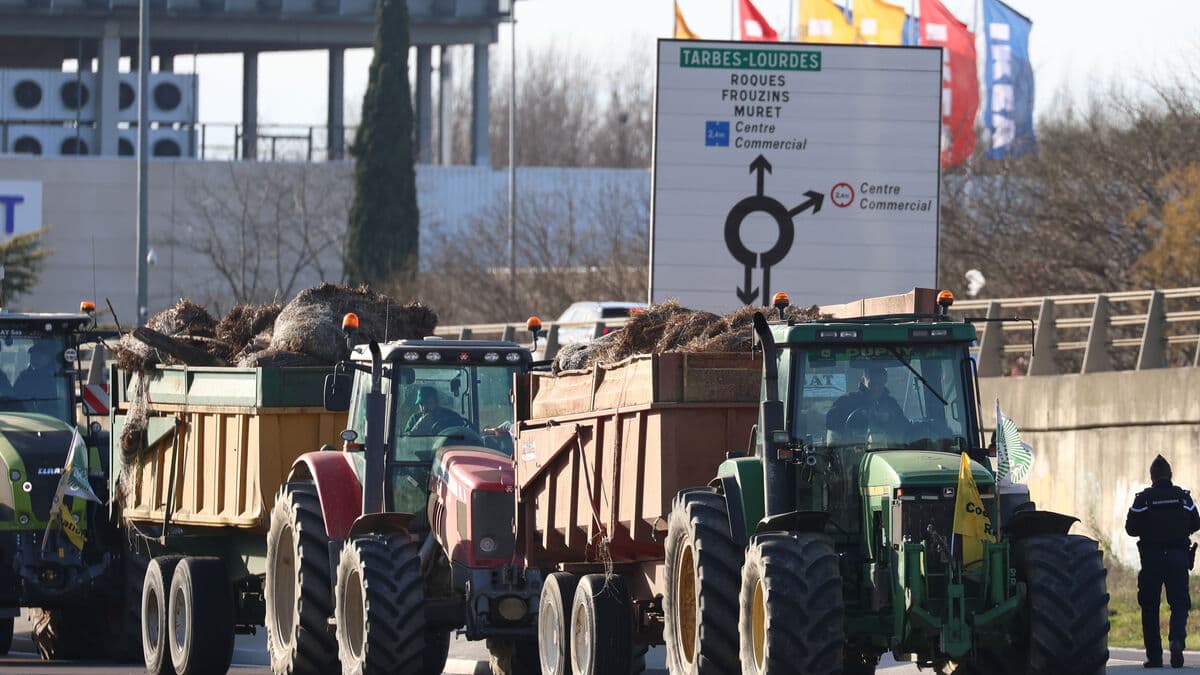 Sources: Italy has swung in favor of the Mercosur free trade agreement