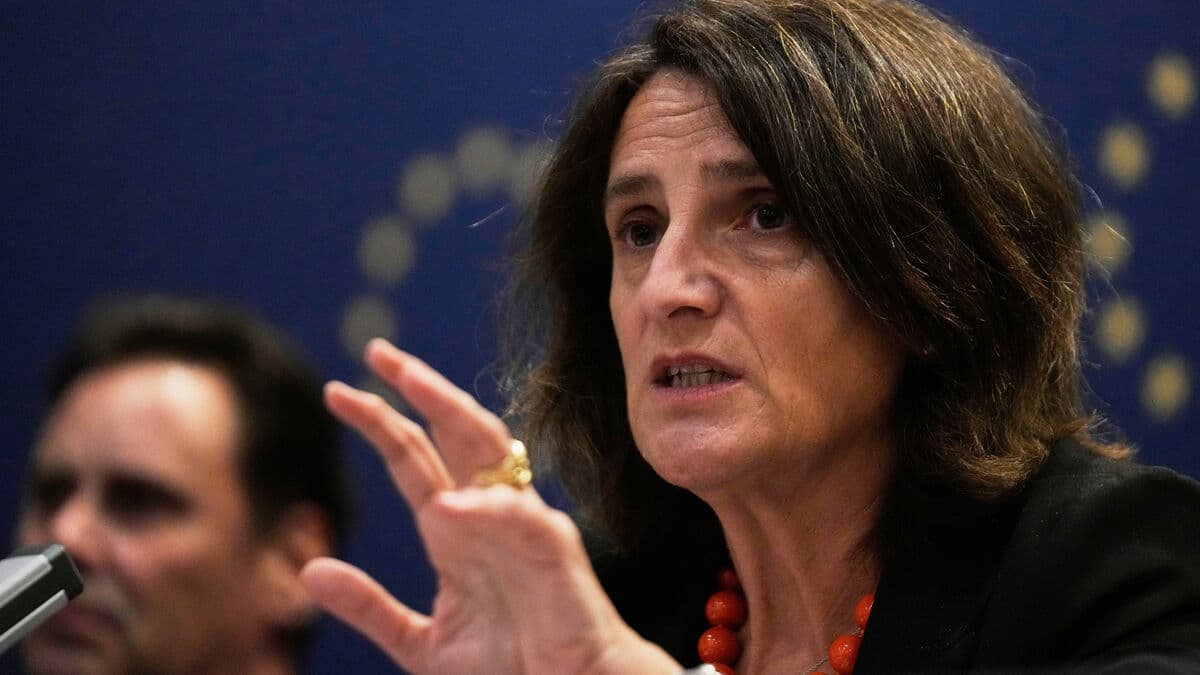 EU Seeks Public Input on Public Service Rules