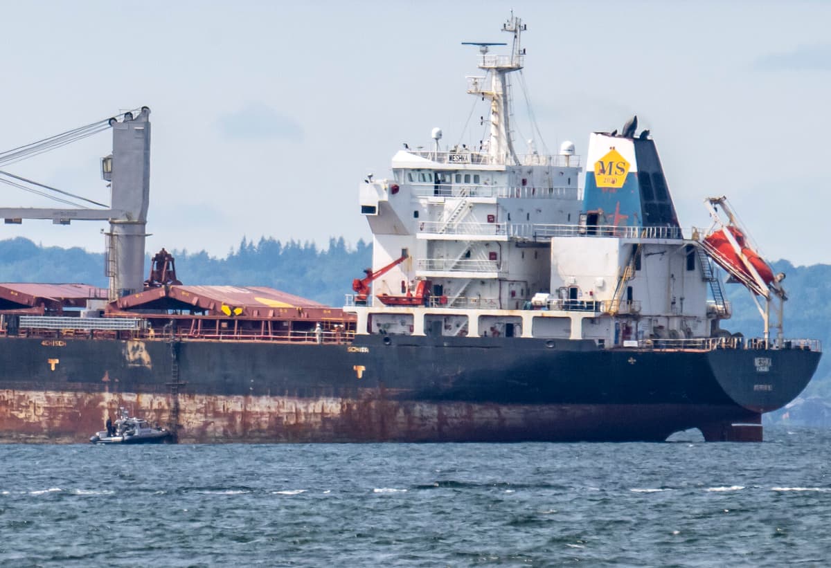 Cargo Ship Captain Suspected of Negligence After Landskrona Grounding