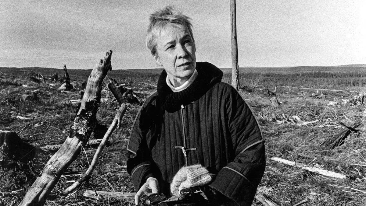 Call to Action: Sara Lidman's Farm is Falling into Disrepair