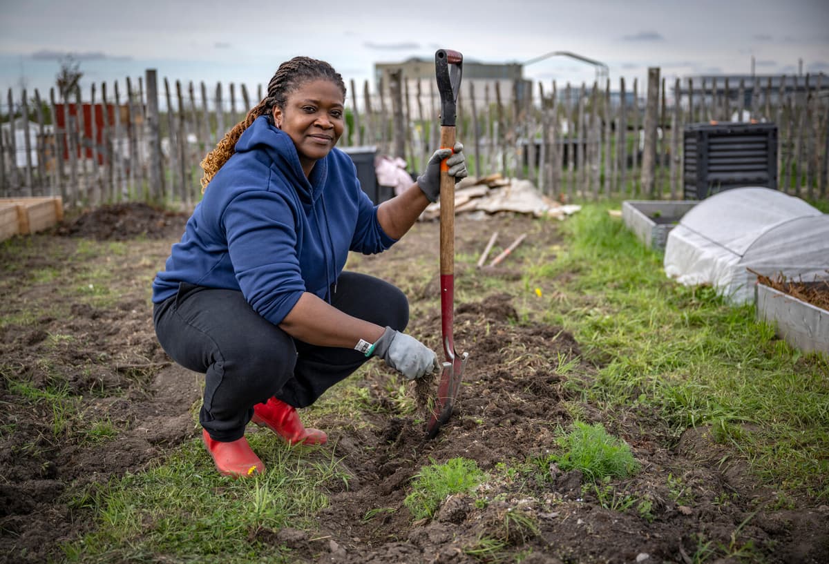 Swedish Gardeners Key to Crisis Resilience and Food Security