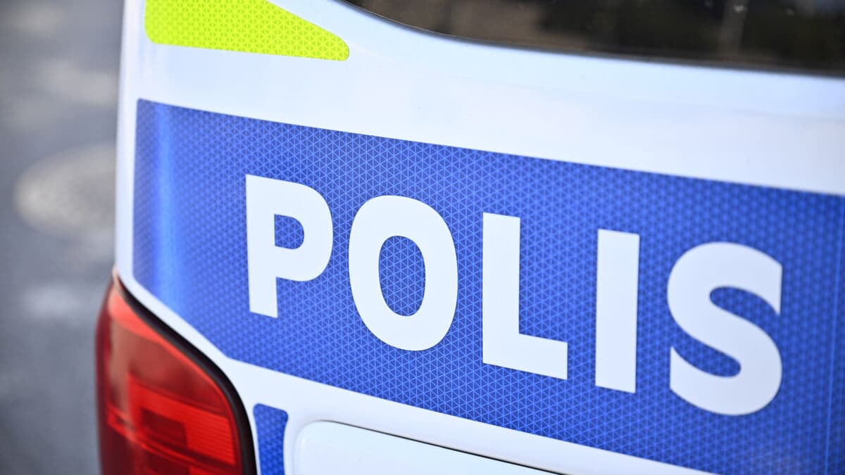 Police crack down on gang – 25 for questioning