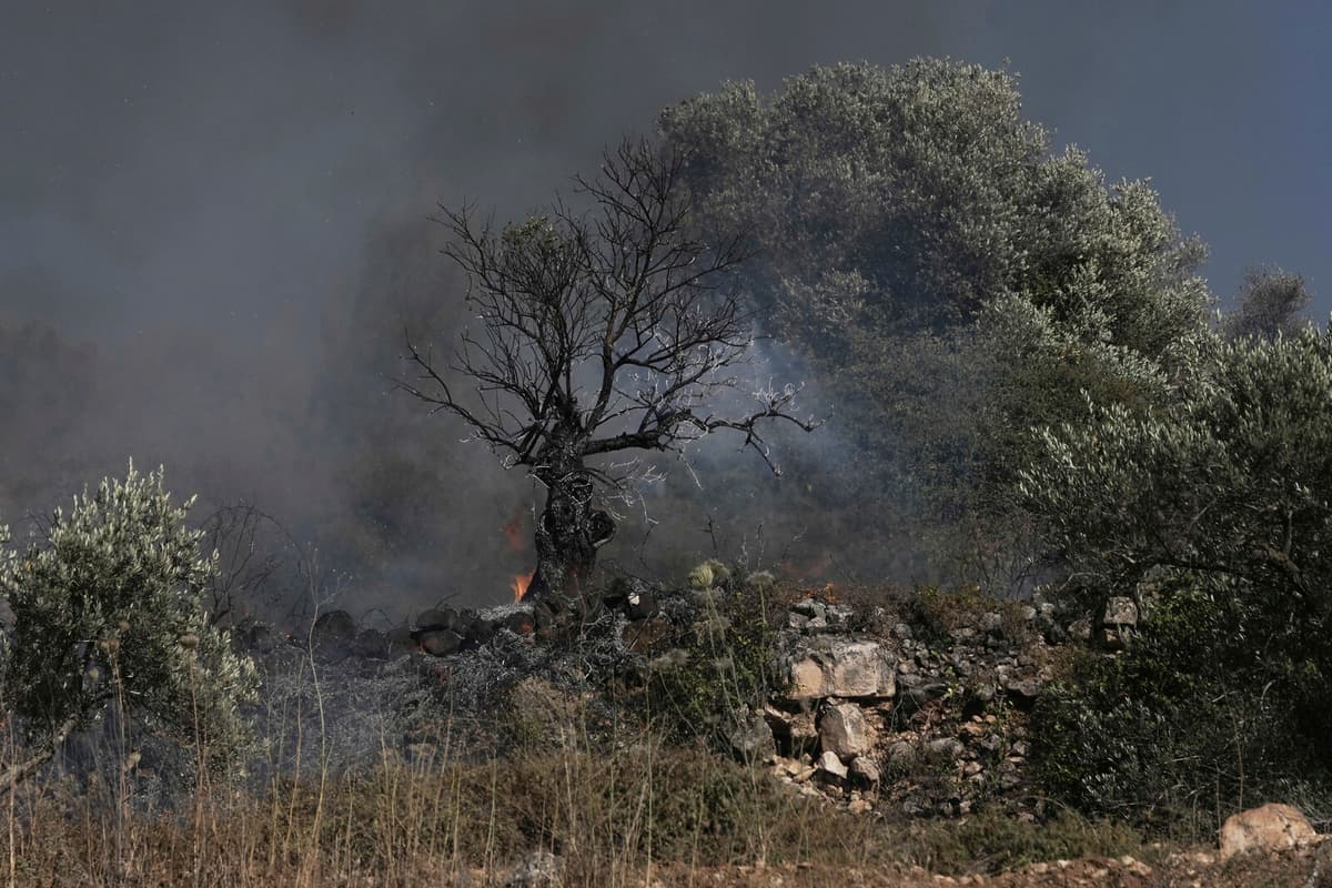 US Citizen Among Two Palestinians Killed by Israeli Settlers in West Bank