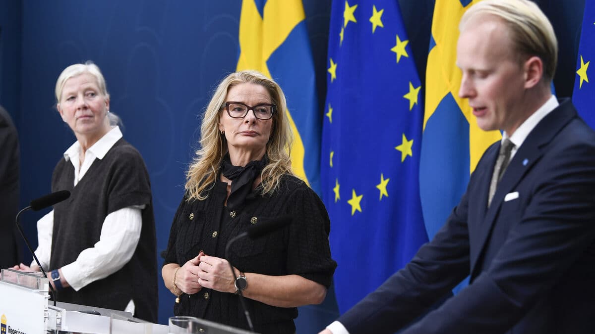 After the alarms: The government is investigating municipal adult education