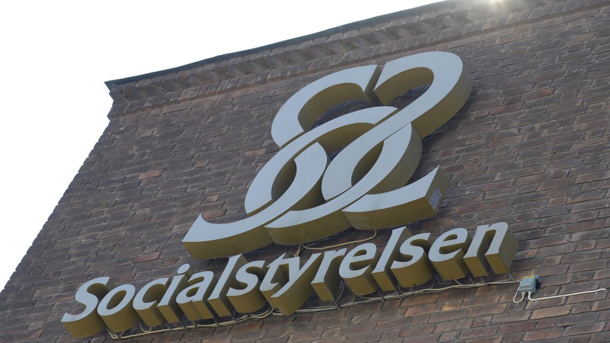 The National Board of Health and Welfare will map young gang murderers