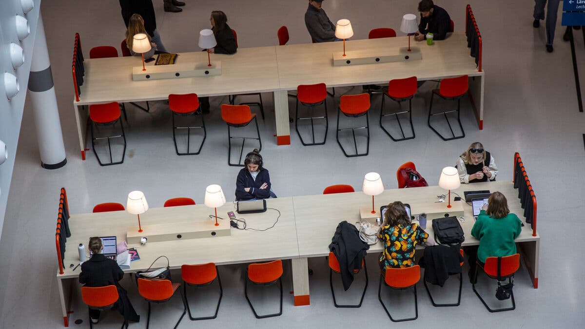 Ukrainians in Sweden to Receive Study Support from 2026