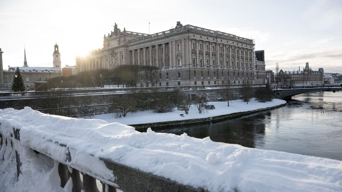 Two tourists flew drones over the Riksdag and the Ministry of Foreign Affairs in central Stockholm
