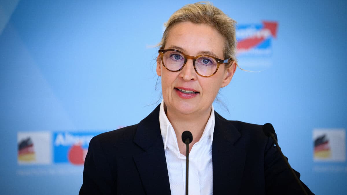 German AfD temporarily exempted from extremist label by Cologne court