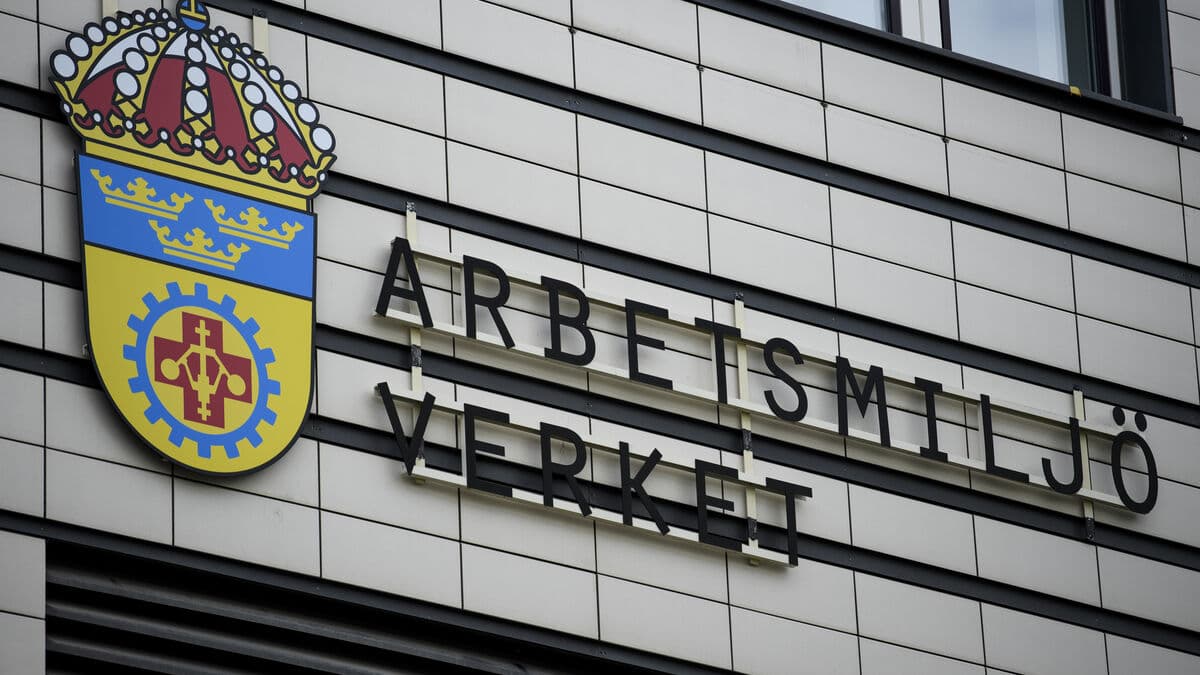 Student assistants particularly vulnerable to violence at school