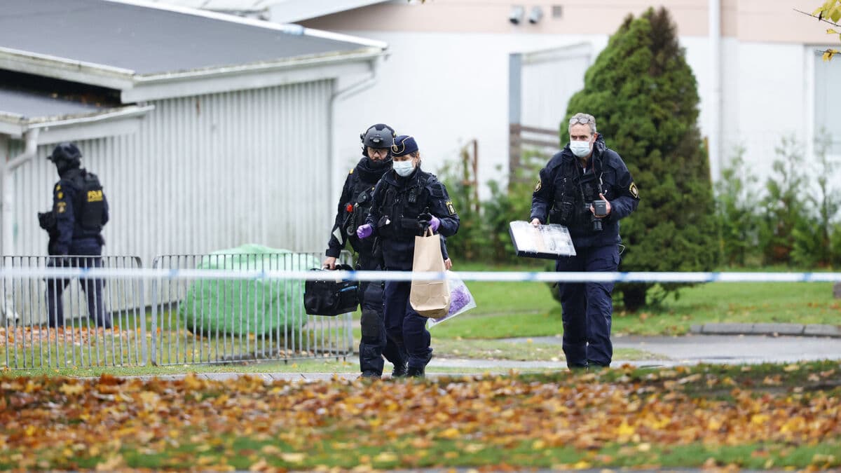 Two Live Hand Grenades Found in Borås, One Suspect Detained