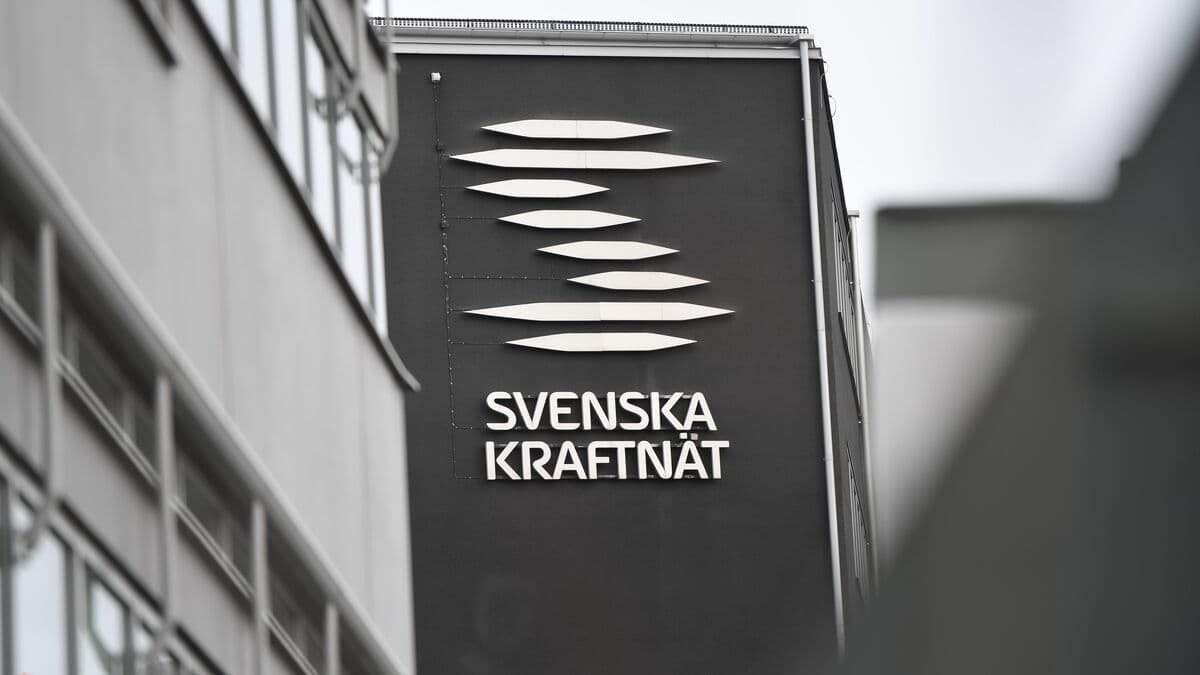 After hacker attack – Svenska kraftnät's data leaked