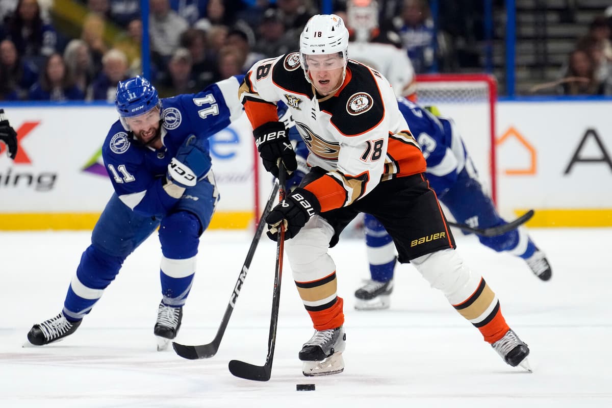 Brynäs Signs NHL Veteran Robert Hägg for 2024 Season