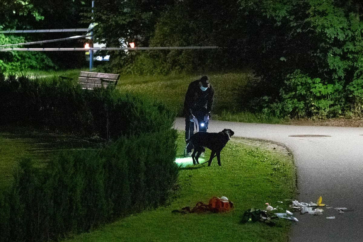 Teen Sentenced to Nearly 9 Years for Murder of 16-Year-Old in Stockholm