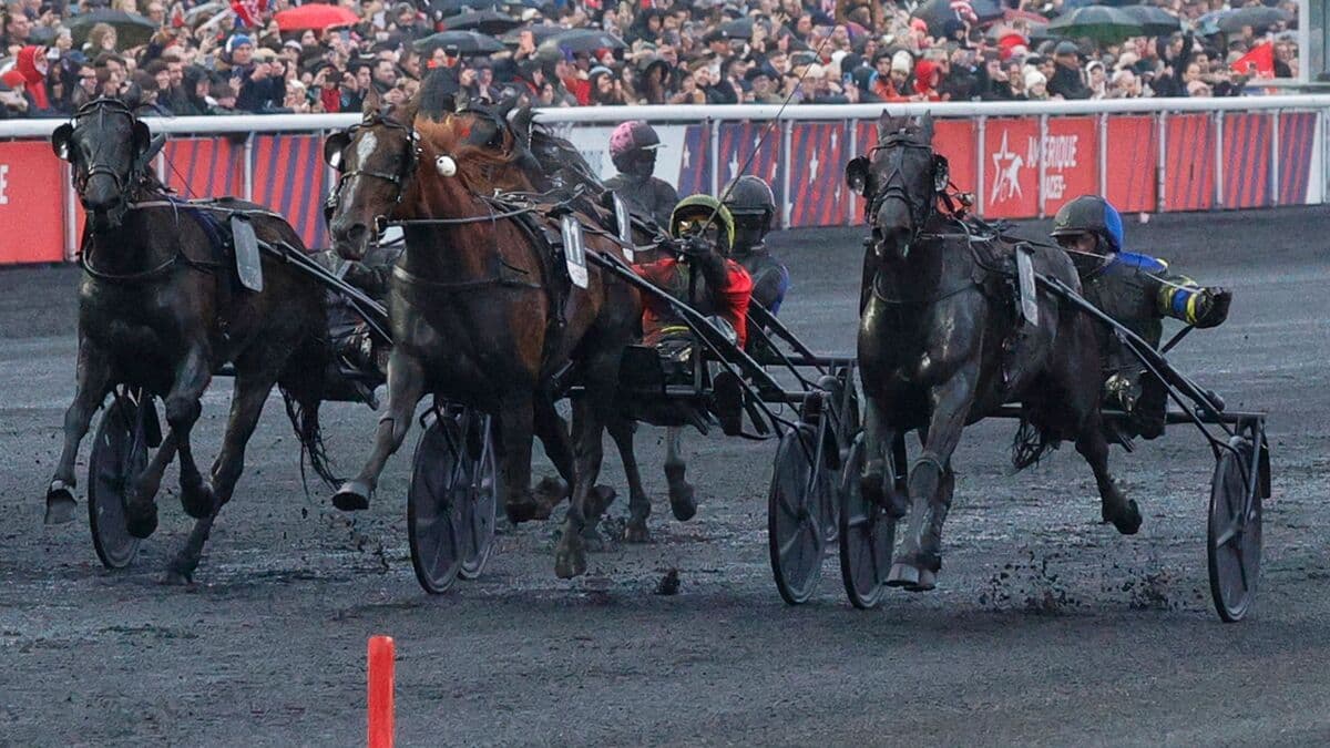 Shocking victory in Prix d'Amérique - Swedish horse on the podium