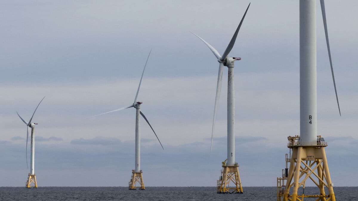 Danish Ørsted share price falls after US pauses offshore wind leasing agreements