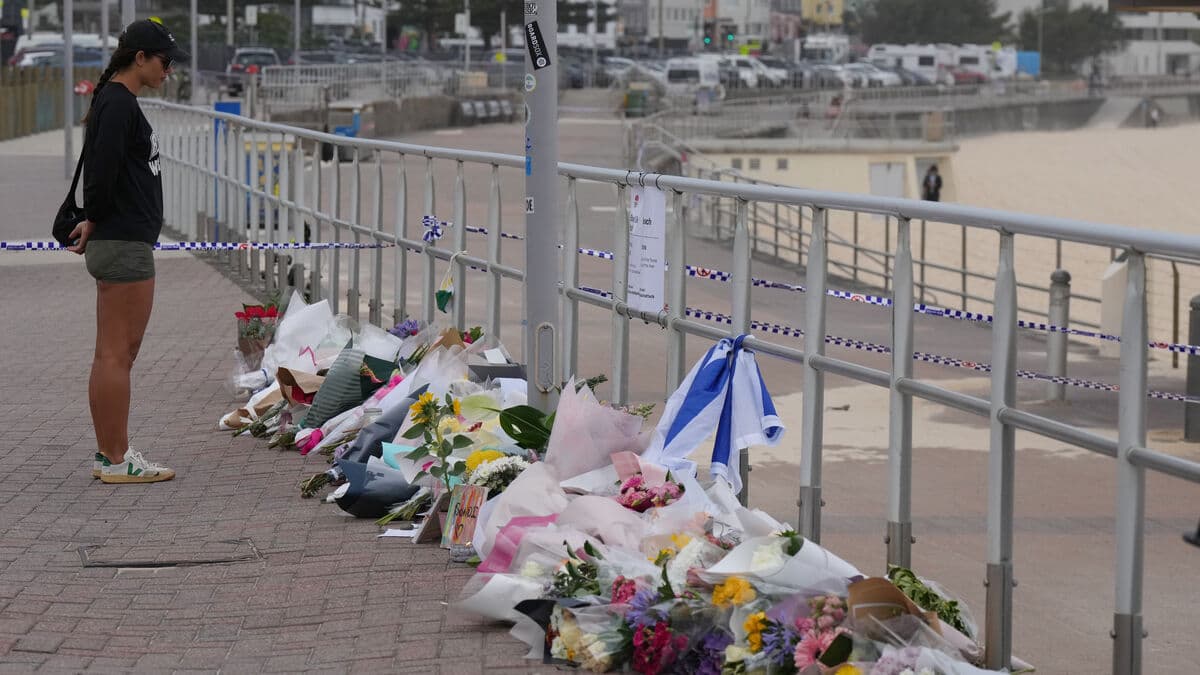 Bondi shooter suspected of 59 crimes