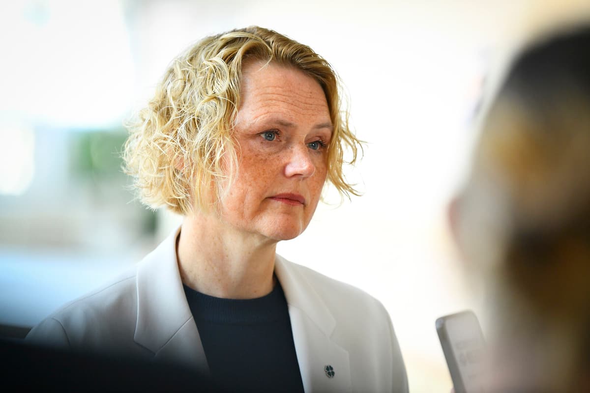 Centre Party Leader Hatt: Left Party Faces Serious Internal Issue