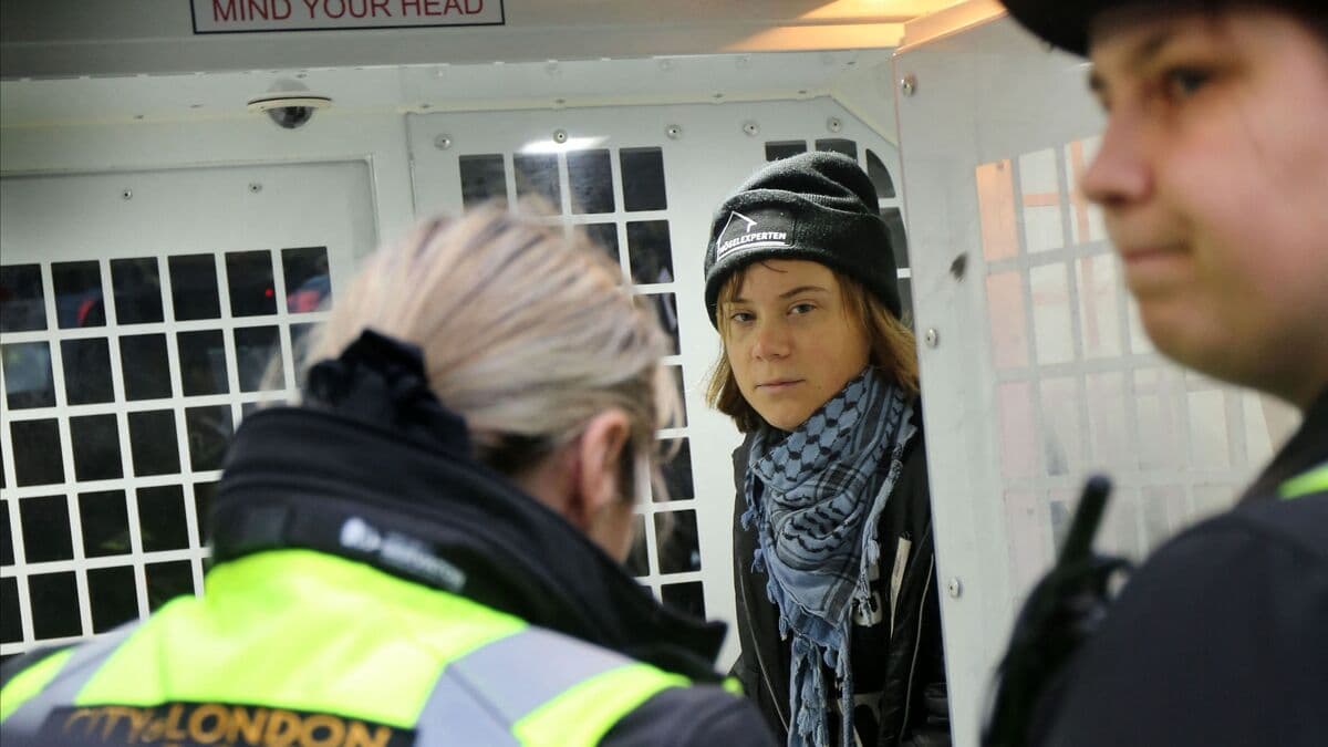 Greta Thunberg arrested at Palestine demonstration in central London