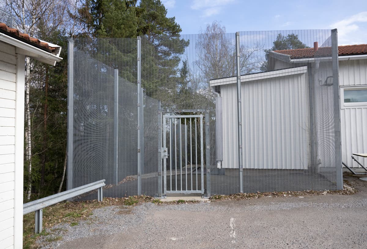 Youth Home Escapes and Violence Decline in Sweden