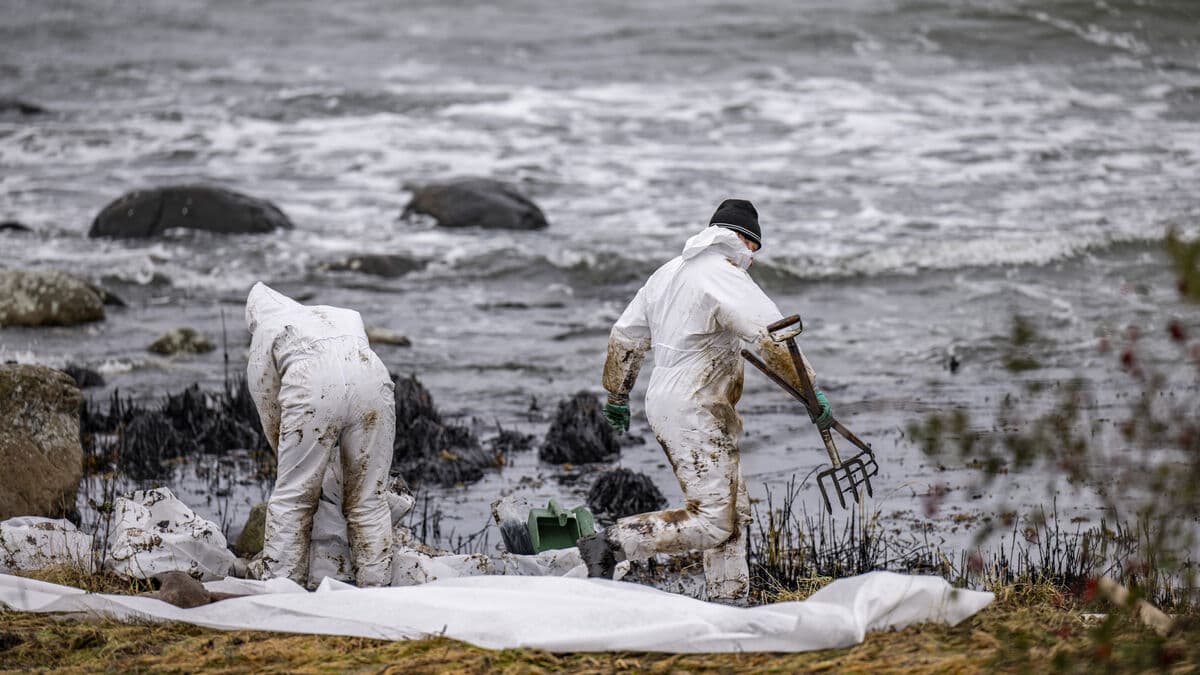 Toxins Persist Two Years After Marco Polo Oil Spill on Blekinge Coast