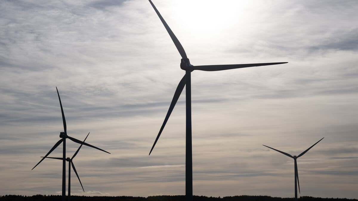 Nobody wants to build wind power in Sweden anymore