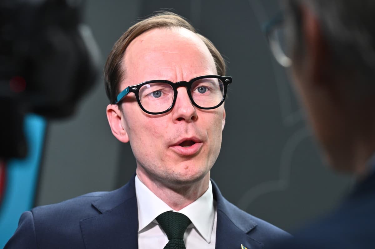 Mats Persson Rejoins Swedish Parliament After Ministerial Role