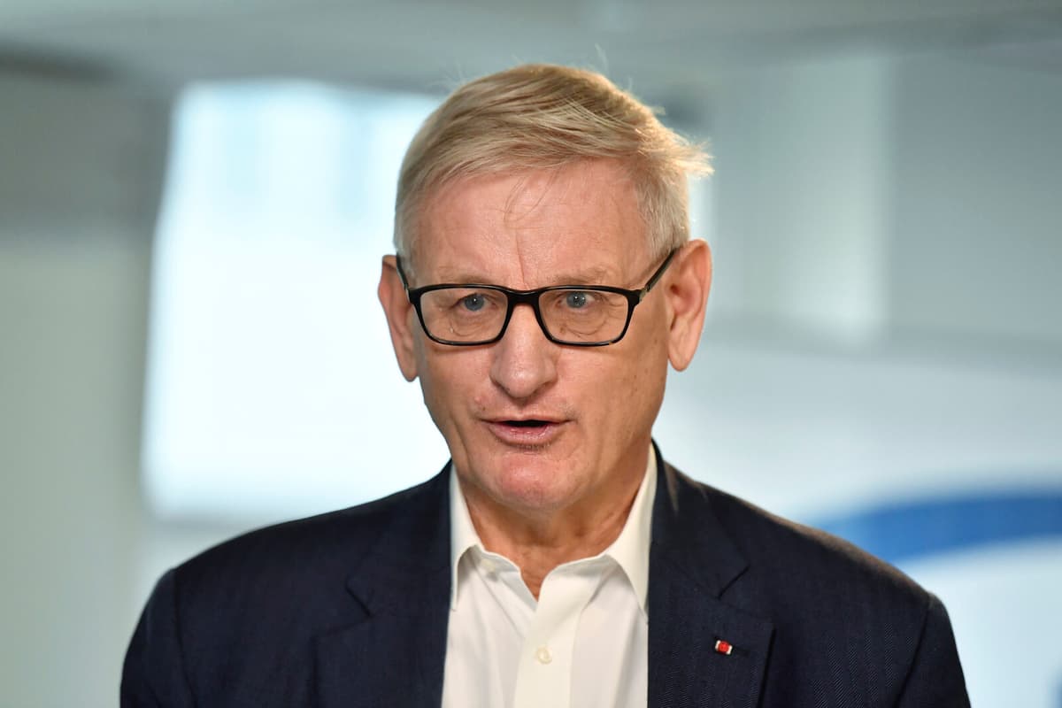 Bildt: Ceasefire Essential for Peace in Ukraine
