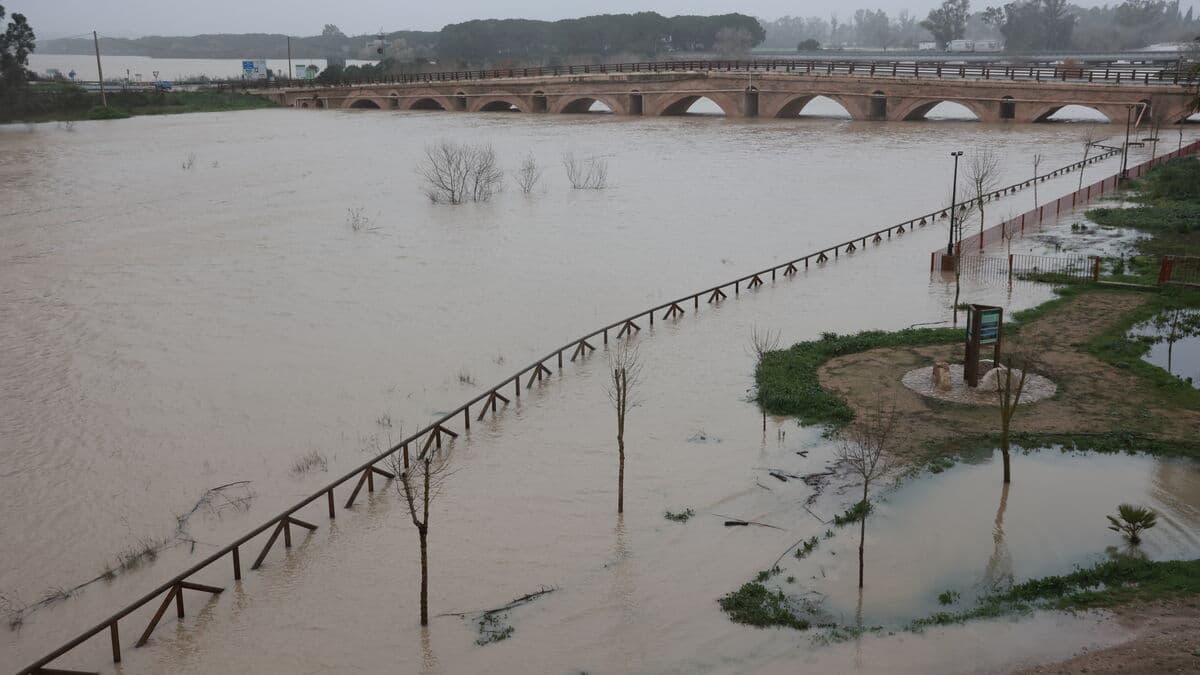 New Spanish torrential rains force thousands to evacuate