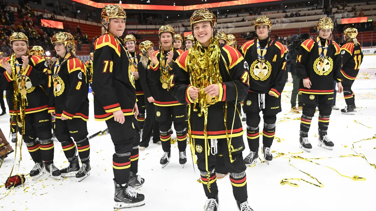 Brynäs Heroes: I Love This
