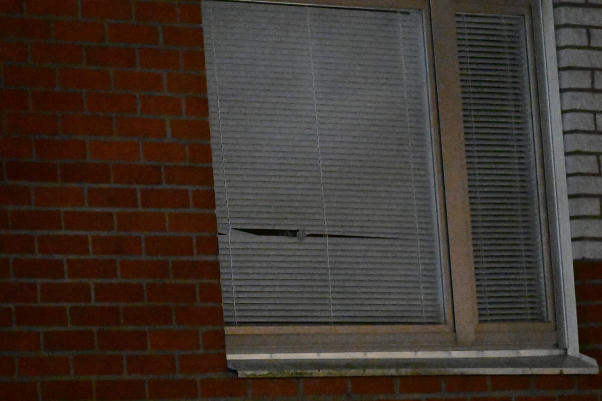 One arrested for attempted murder after shooting in Backa