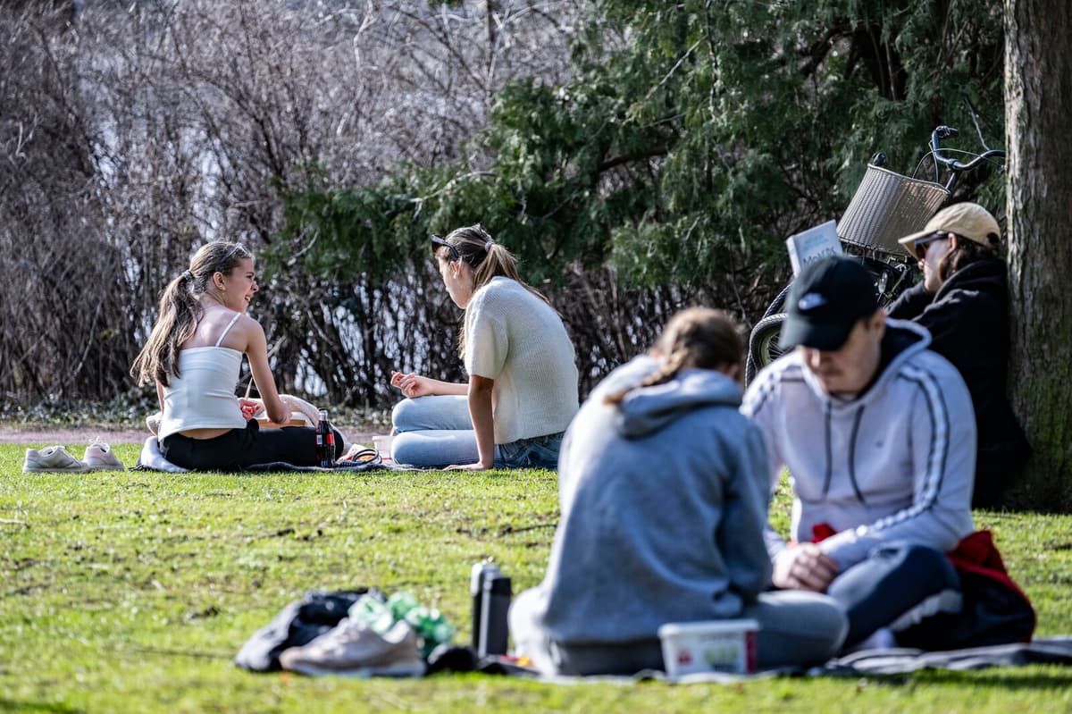 Sweden Braces for Year's Warmest Day Before Cold Snap Hits