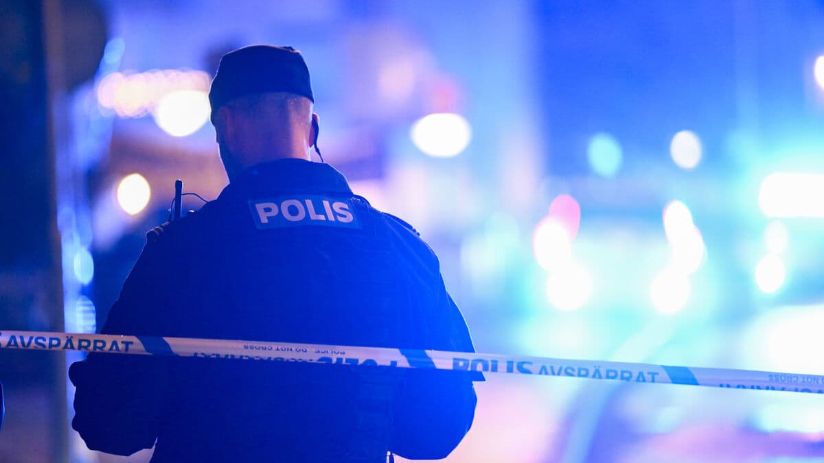 Suspect in 2012 Gothenburg murder extradited to Sweden and remanded in custody