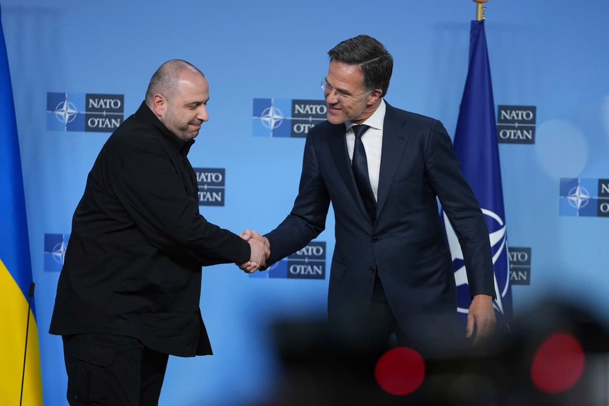 NATO Allies Pledge Ships and Billions in Support to Ukraine