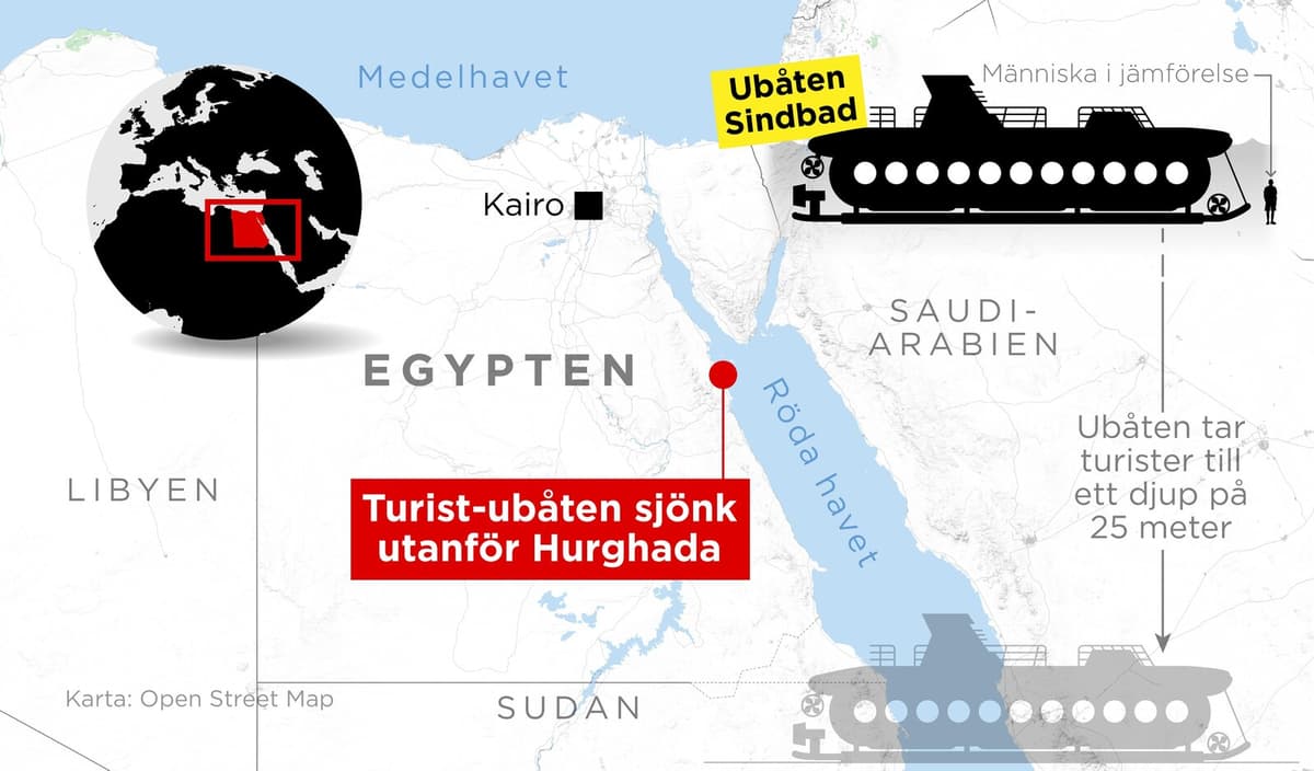 Swede Among Survivors After Submarine Sinks in Egypt's Red Sea