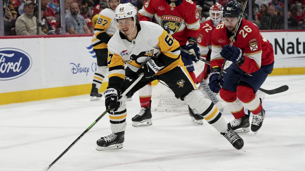 Rakell Undergoes Hand Surgery, Expected Back in December