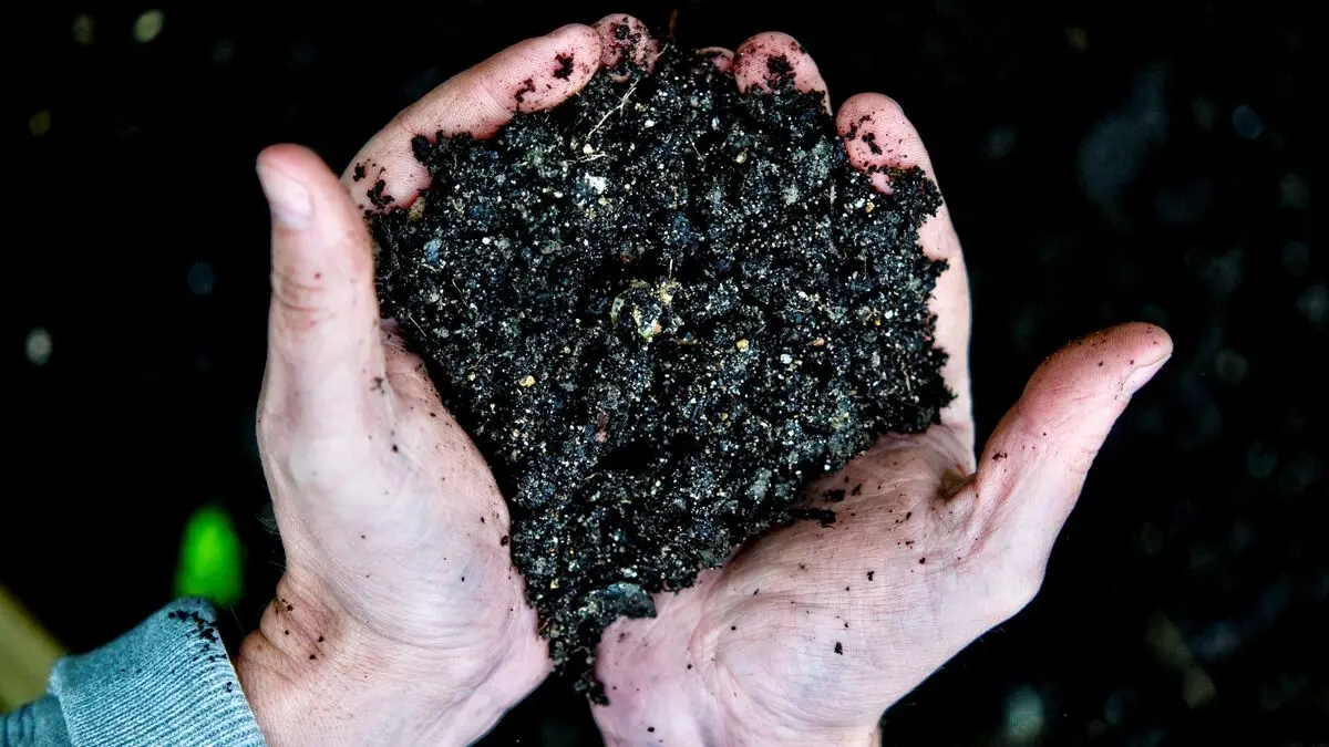 County Administrative Board says peat mining at Grimsås bog can be stopped