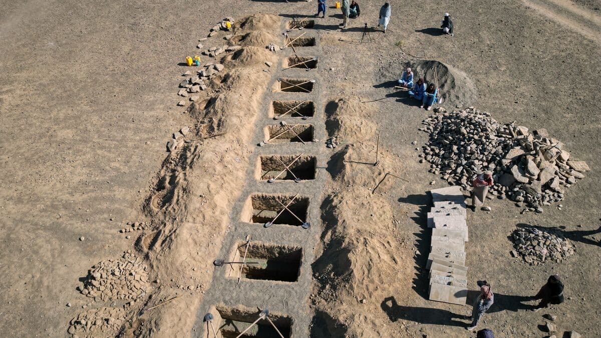 Taliban regime: Ten dead in attacks