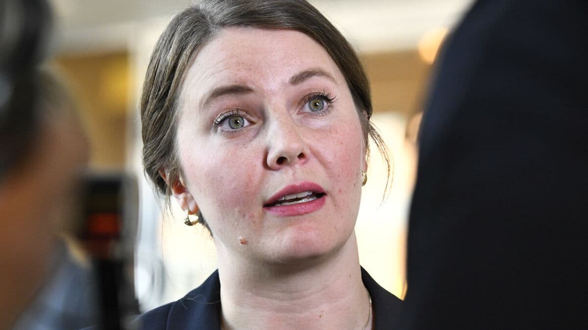 Social Democrats criticize proposals for stricter requirements for benefits