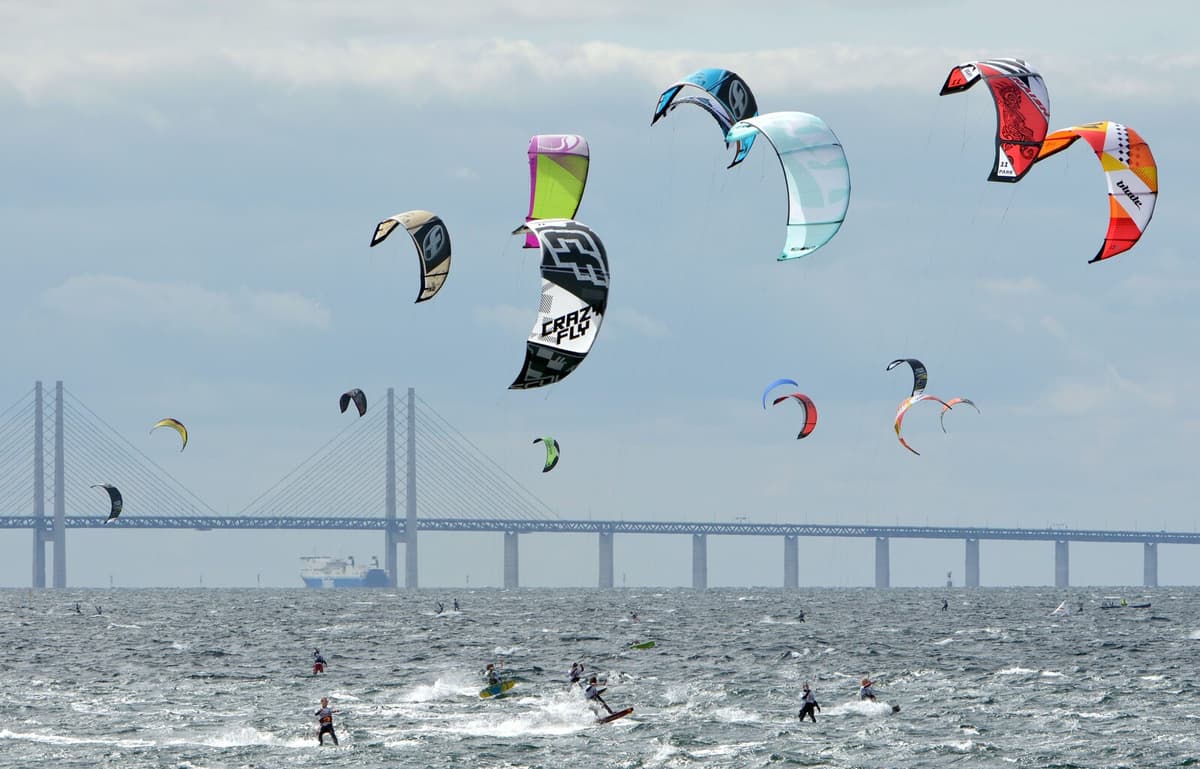 Kitesurfing Poses Growing Threat to Seabirds in Denmark