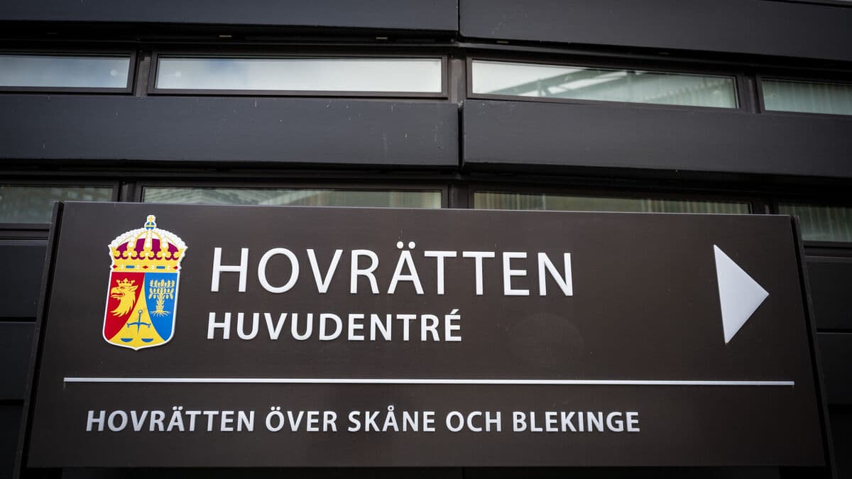 Court of Appeal convicts woman for calling judge a little asshole