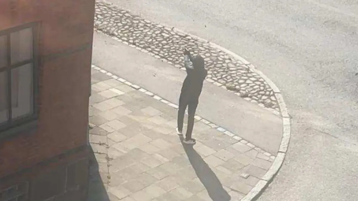 DNA matching delayed - had time to commit Uppsala hair salon triple murder