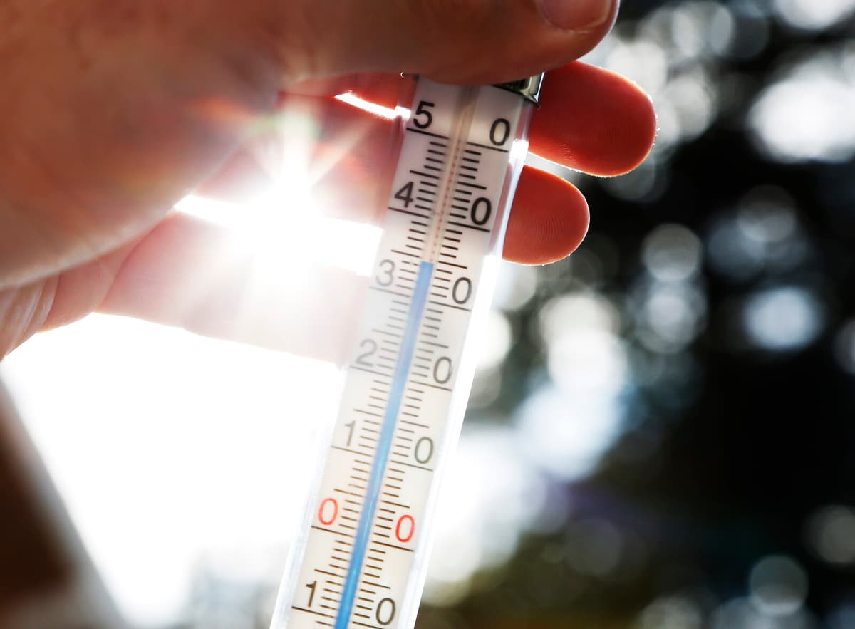 Study Predicts Intensifying Heatwaves in Sweden Due to Climate Change