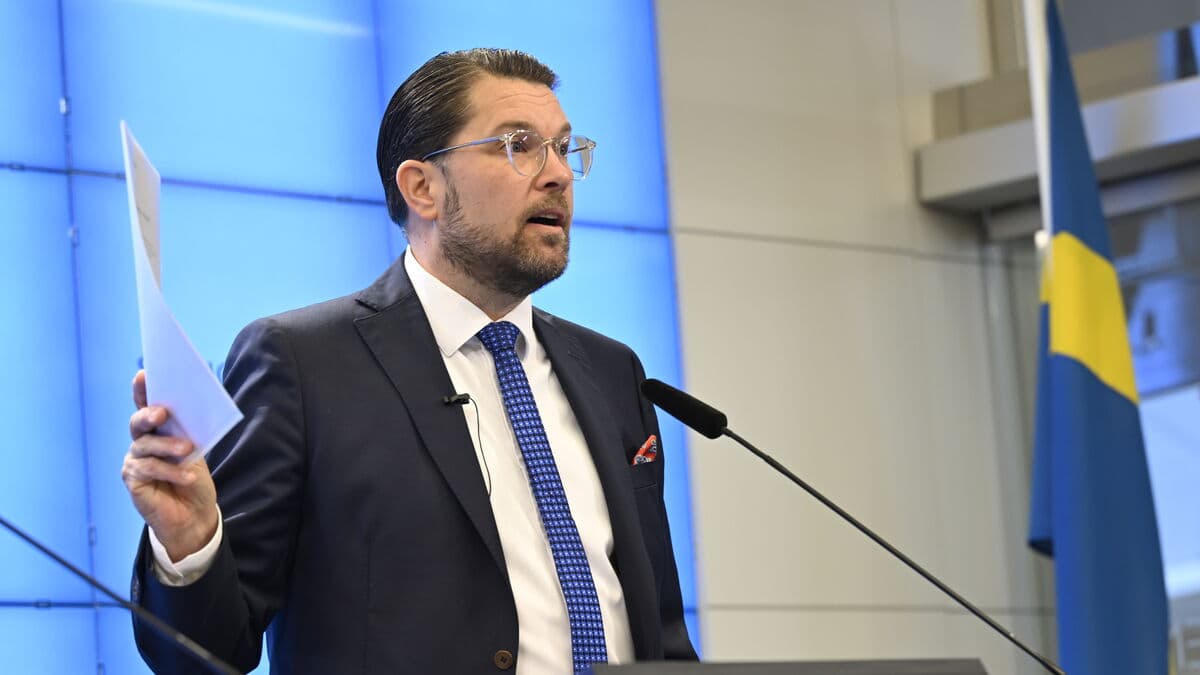 Sweden Democrats Seek Referendum on Constitutional Amendment