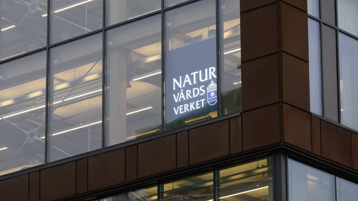 They want to limit the authorities' appeals