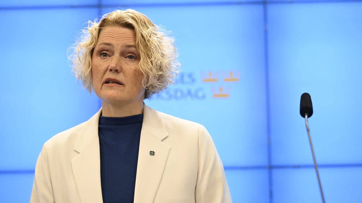Center Party Leader Anna-Karin Hatt Resigns Citing Safety Concerns