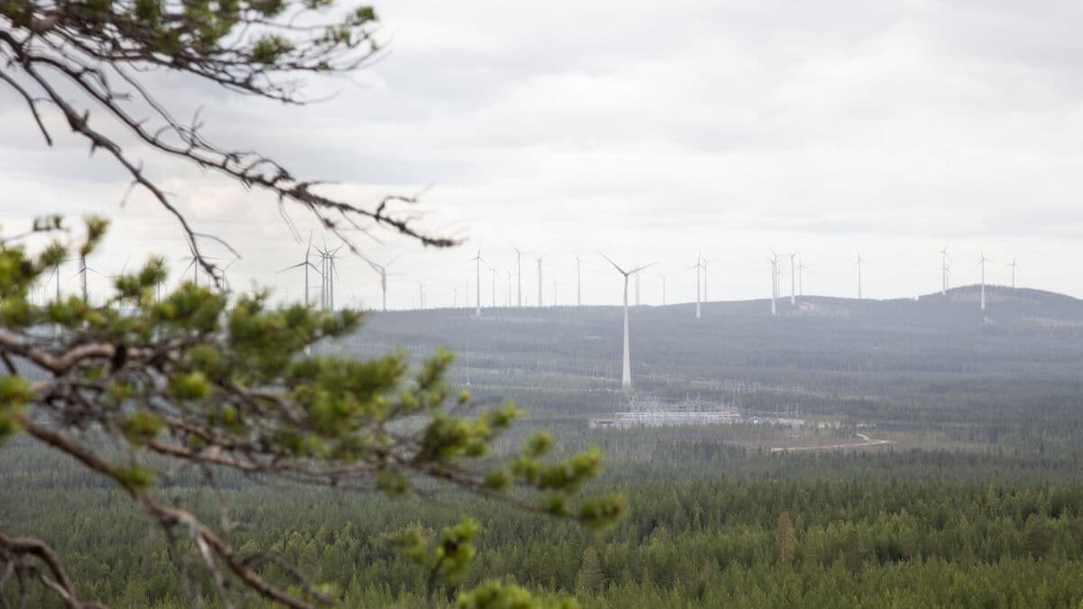 EU Sues Sweden Over Delays in Renewable Energy Permit Rules