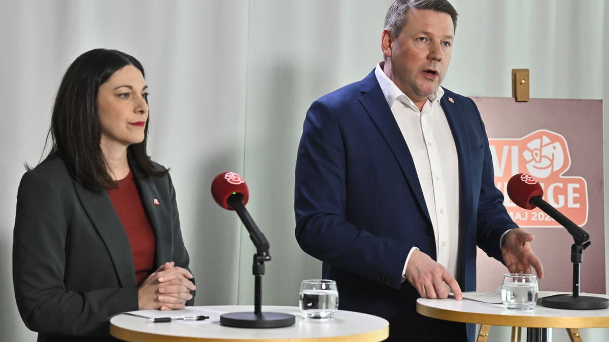 Social Democrats want more workplace inspections