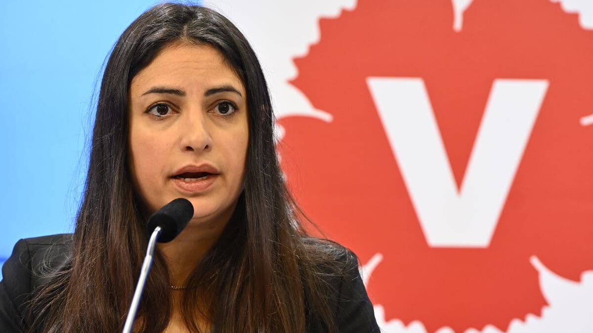 Spring Budget: Left Party Proposes More Funds for Healthcare