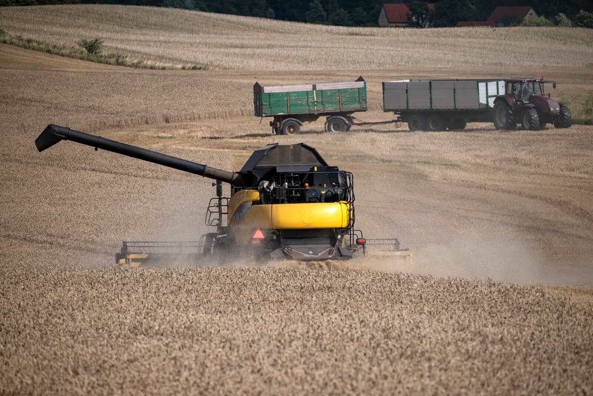 Producer Prices Drop in June Despite Rising Import Costs