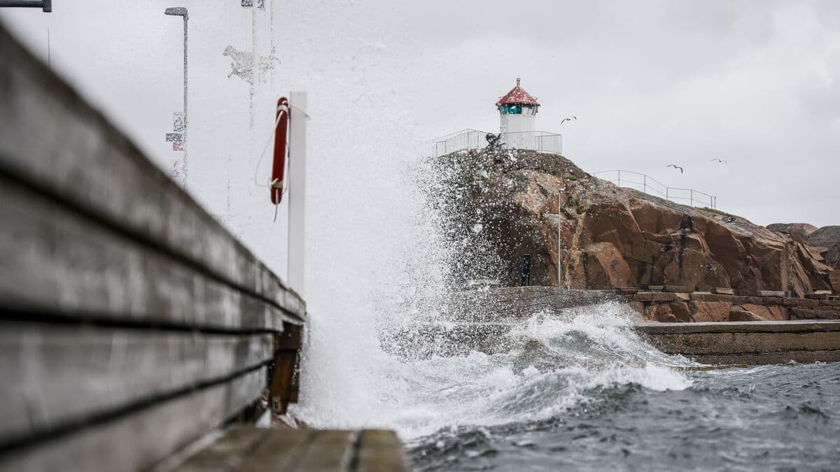 Storm Amy Brings Strong Winds and Canceled Trains in Sweden